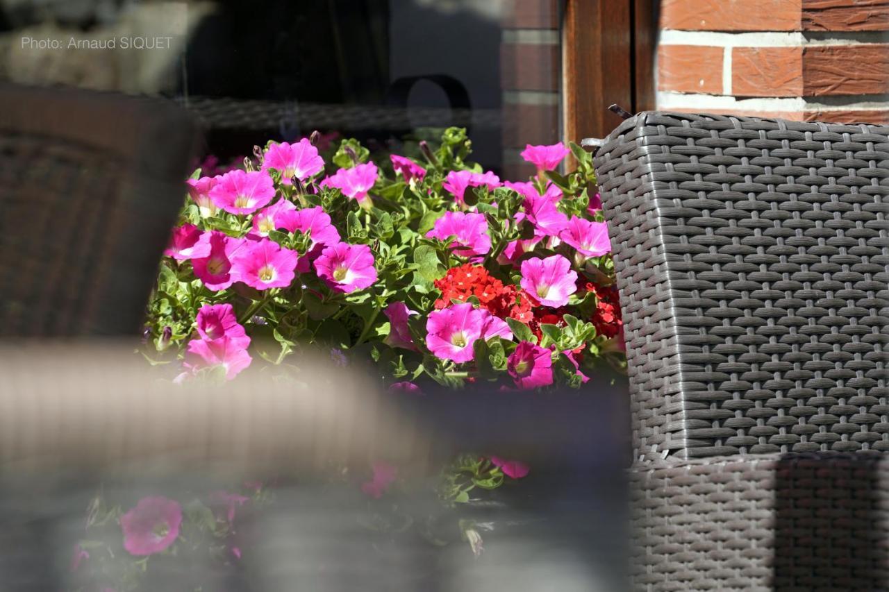 Ferme St Martin Bed & Breakfast Manhay ภายนอก รูปภาพ