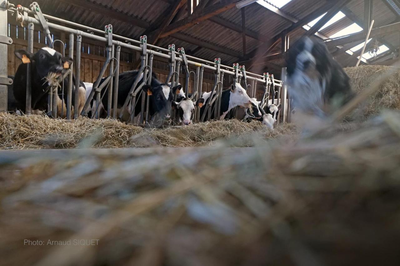 Ferme St Martin Bed & Breakfast Manhay ภายนอก รูปภาพ